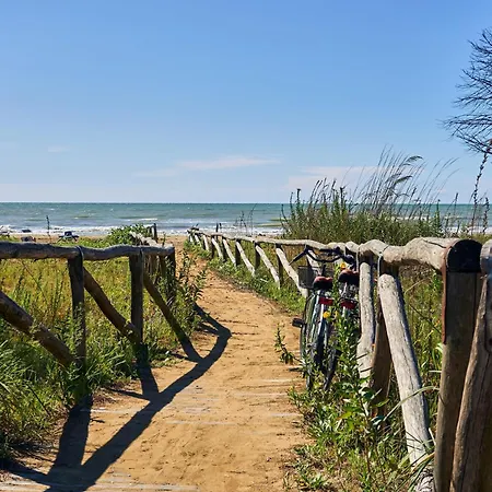 In A Quiet Area Next To The Sea *